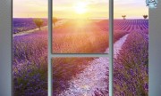 Летний пейзаж в Provence, Франция