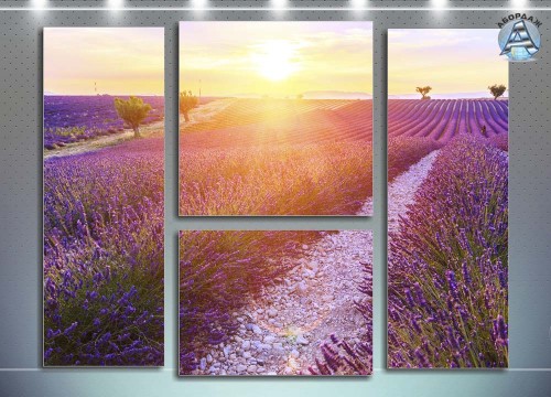 Летний пейзаж в Provence, Франция