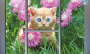 Рыжий кот в цветнике