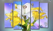 Желто-белые цветы S1_003_n