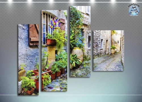 Уличные цветы, прованс