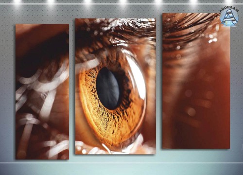 Карий глаз, макро