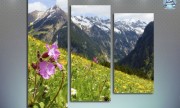 Austrian Alps, цветы