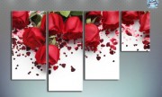 Алые розы белый фон, G-2464-19