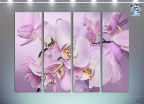 Сиреневый фреш, G-2507-19